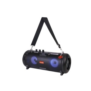 LD-S10900AC